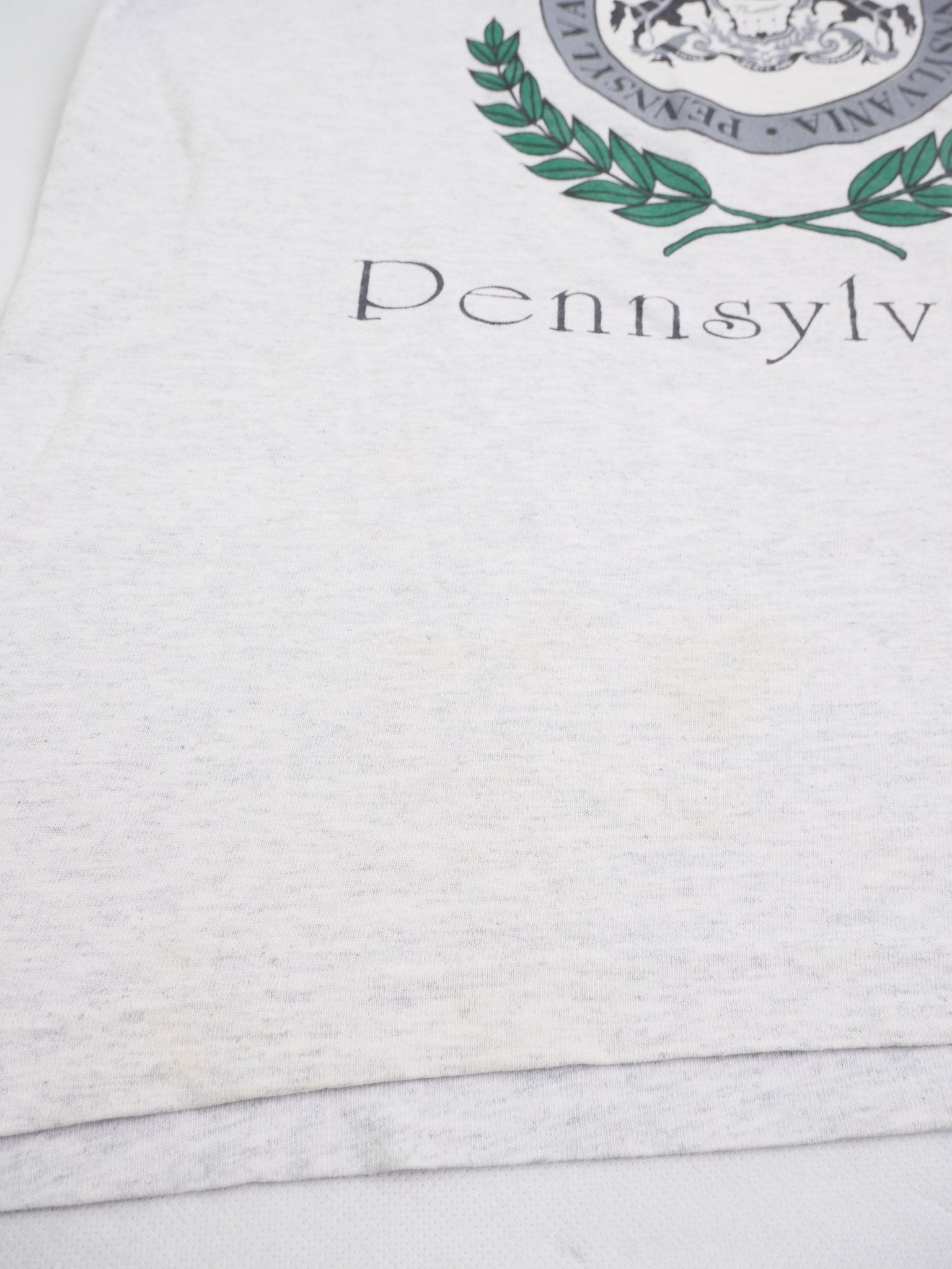 Drexel Hill Pennsylvania printed Graphic grey Shirt - Peeces