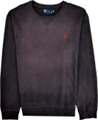 Polo Ralph Lauren Pullover braun