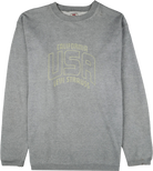 Levi's Pullover grau