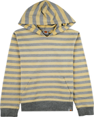 Carhartt Kapuzen Pullover bunt