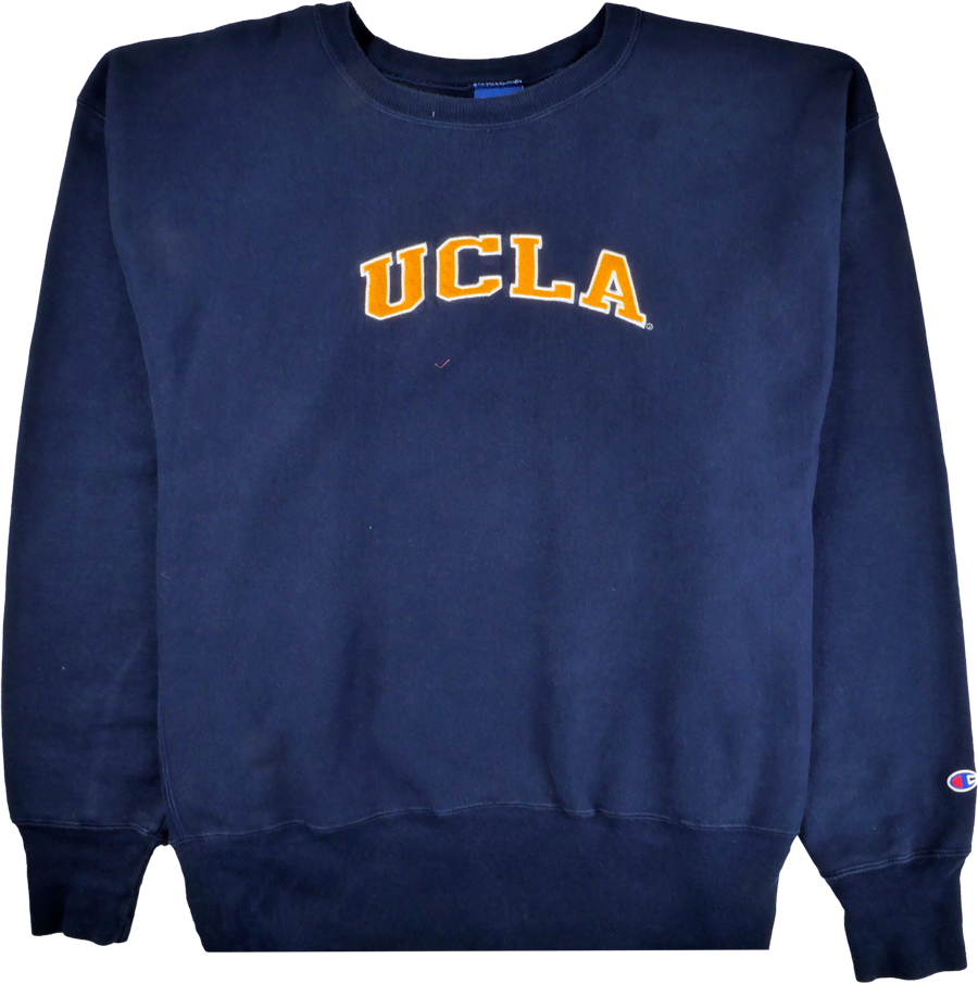 Champion Pullover blau